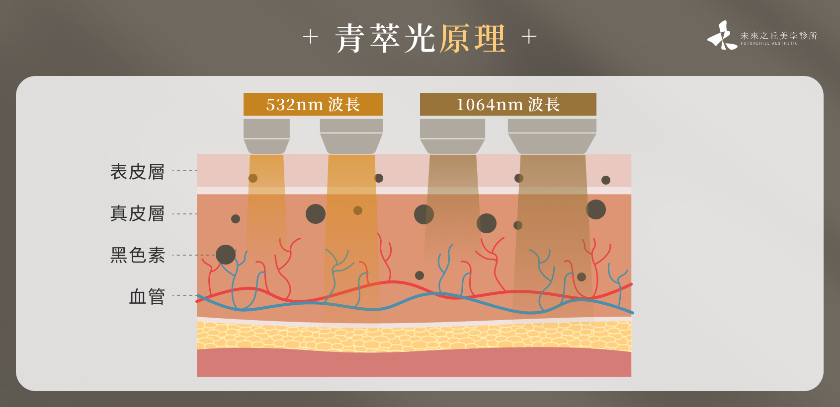 青萃光原理